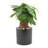 Lorem ipsum dolor sit amet  PRD-001