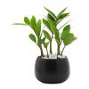 Lorem ipsum dolor sit amet  PRD-001