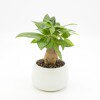 Lorem ipsum dolor sit amet  PRD-001