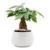 Lorem ipsum dolor sit amet  PRD-001