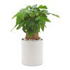 Lorem ipsum dolor sit amet  PRD-001